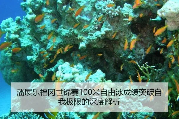潘展乐福冈世锦赛100米自由泳成绩突破自我极限的深度解析